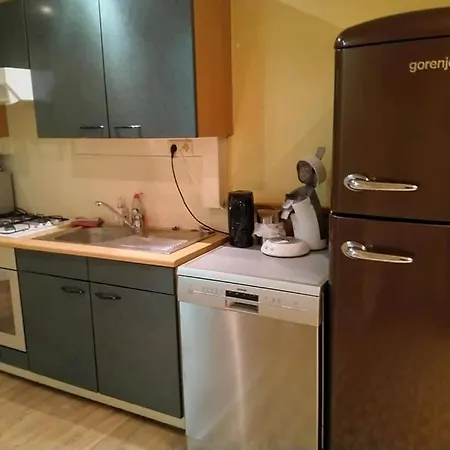 Apartment Ruim Authentiek Gelijkvloers Op Wandelafstand De Zee