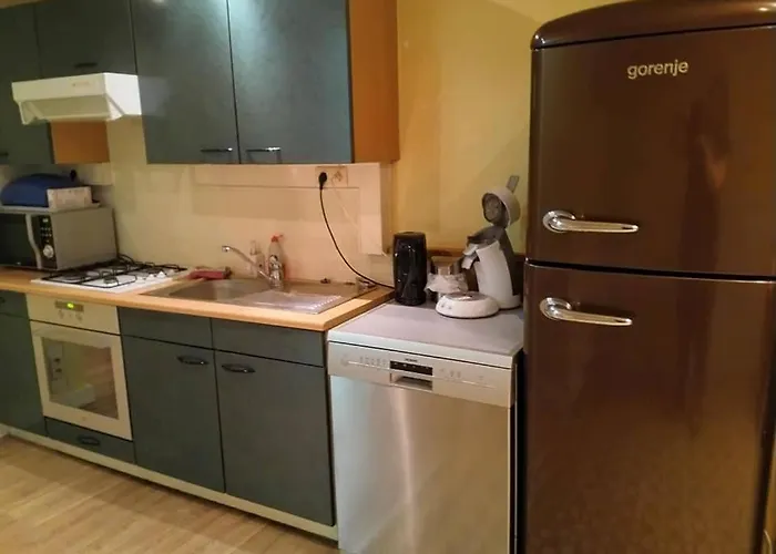 Appartement Ruim Nostalgisch Gelijkvloers Op Wandelafstand De Zee